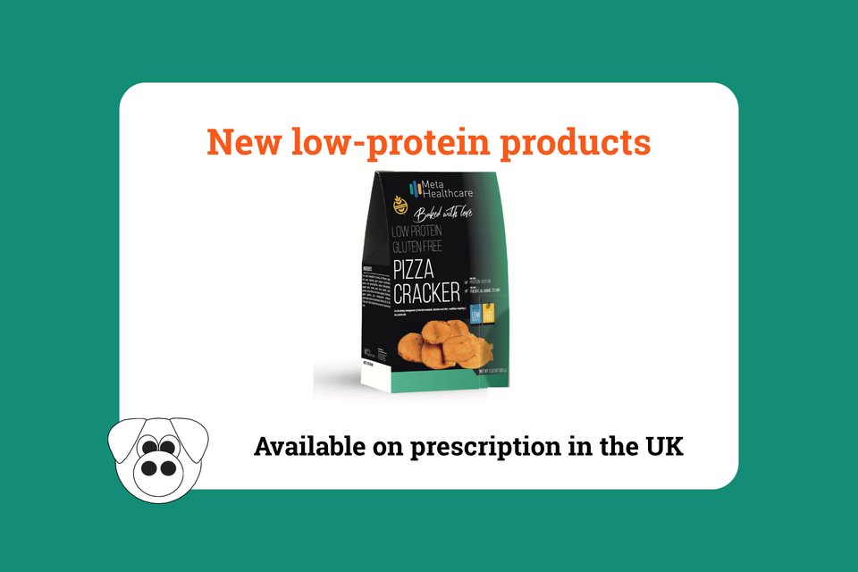 Meta Healthcare graphic showing low-protein gluten-free pizza crackers with text “New low-protein products. Available on prescription in the UK” and PigPen cartoon logo.