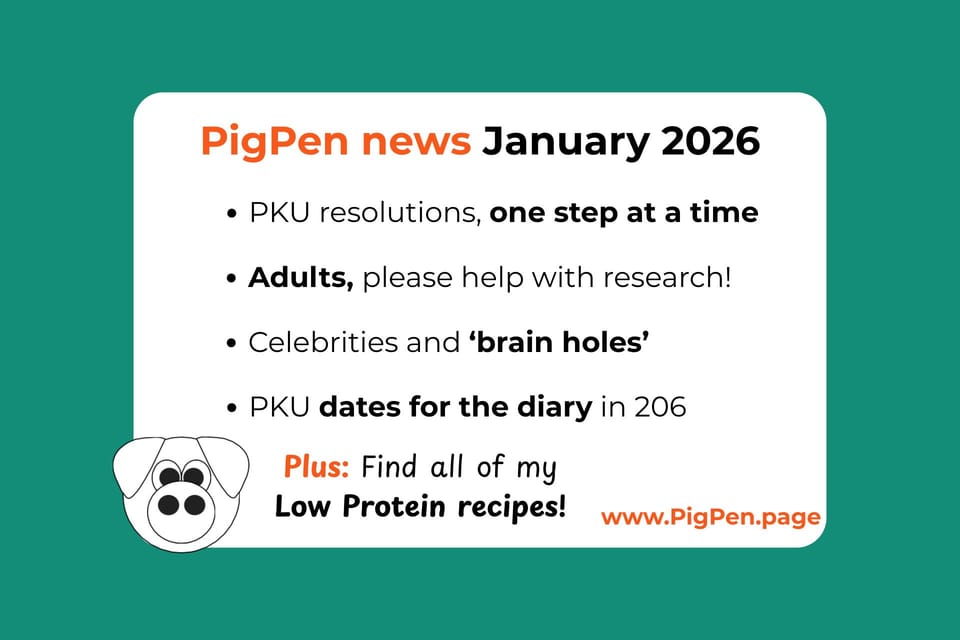 Bullet points in orange and black on a white window in a teal background. Small cartoon Pig face logo, and text reading PigPen News January 2026